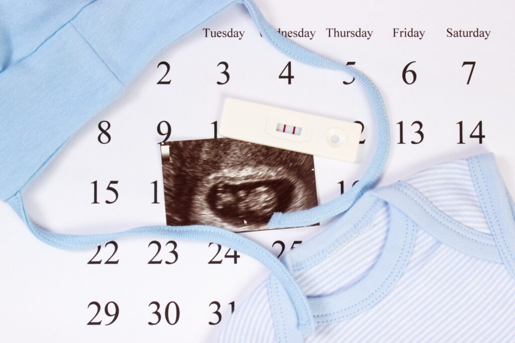 First 3 Months of Pregnancy