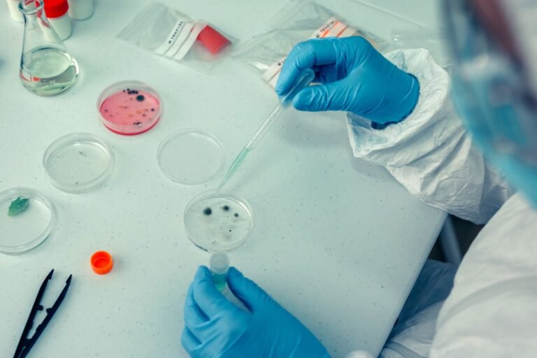IVF Second Attempt