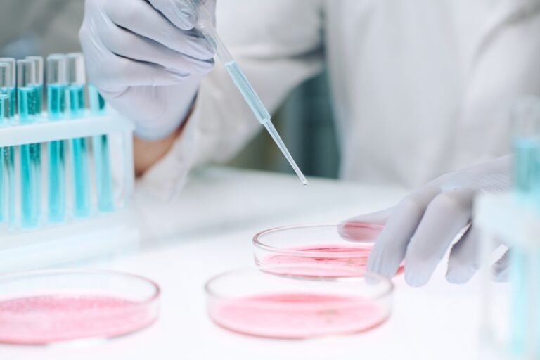 Stem Cells (1)