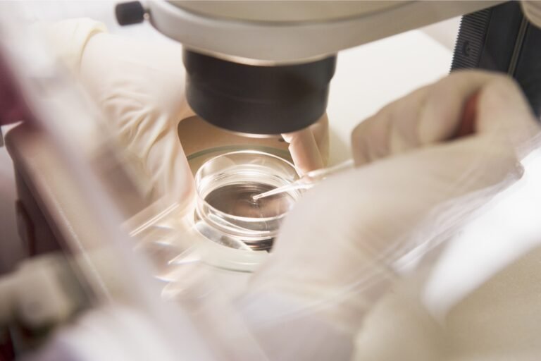 Embryo Thawing